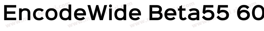 EncodeWide Beta55 600 SemiBold字体转换